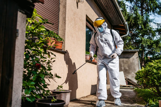 Best Pest Control for Homes  in Sterling, VA