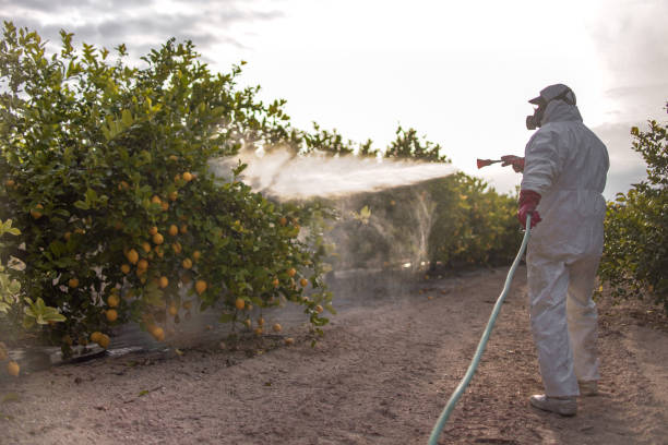 Best Affordable Pest Control Services  in Sterling, VA