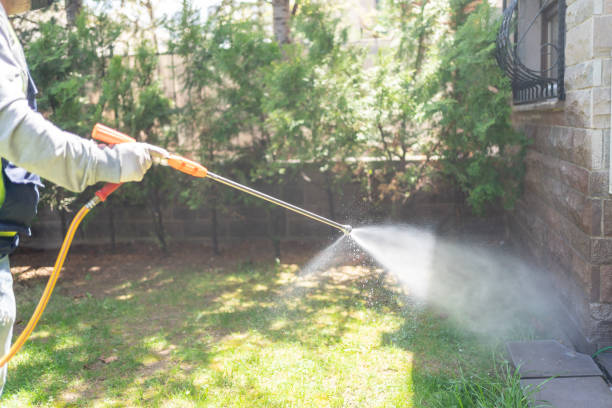 Best Flea Control Services  in Sterling, VA