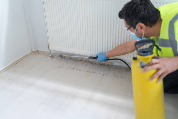 Best Best Pest Control Companies  in Sterling, VA