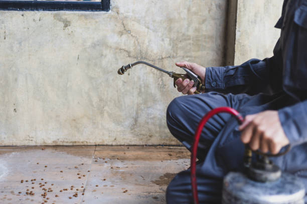 Best Residential Pest Control  in Sterling, VA